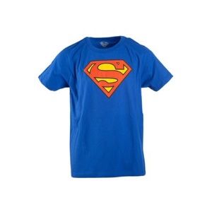 Men’s DC Comics Superman Wicking T-shirt